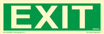D 6